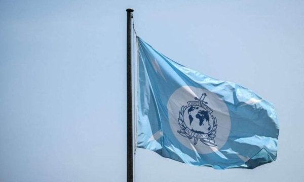  الإنتربول يضبط 30 ألف حيوان حي في حملة ضد تهريب الحيوانات البرية!!